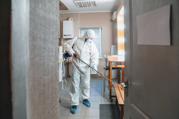  Rio Hondo, TX Mold Removal Pros