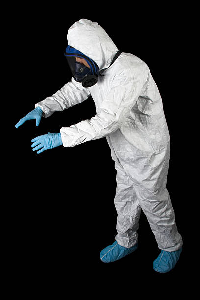 Professional Mold Removal in Rio Hondo, TX